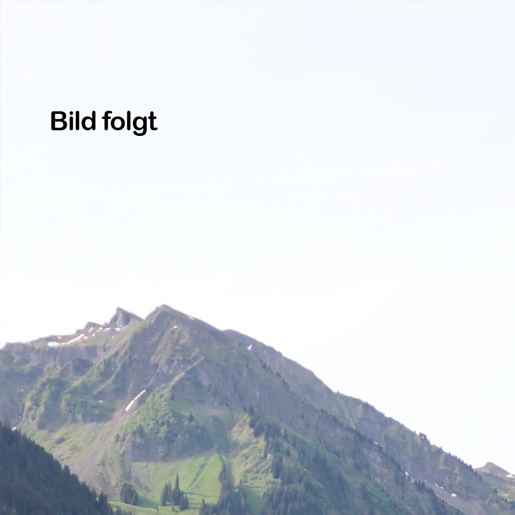 Bild folgt